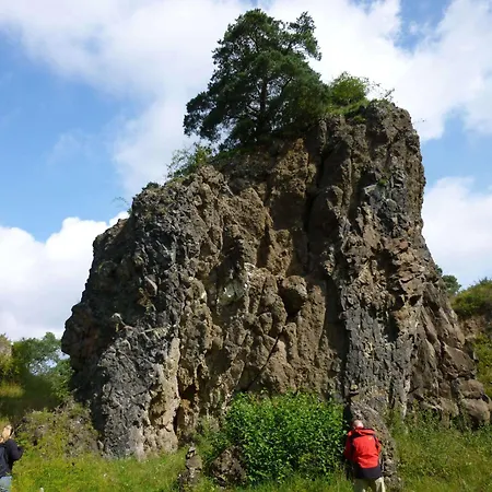 Апартаменты Leo *